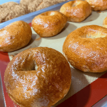 New York Bagels