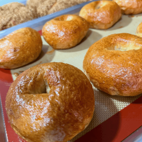 New York Bagels