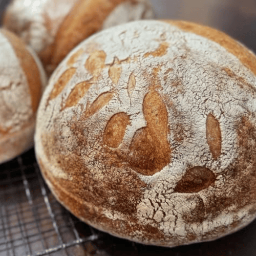 Pan Sourdough
